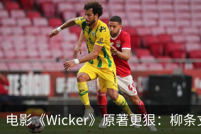 电影《Wicker》原著更狠：柳条丈夫被烧后，她又造了个荆棘女人